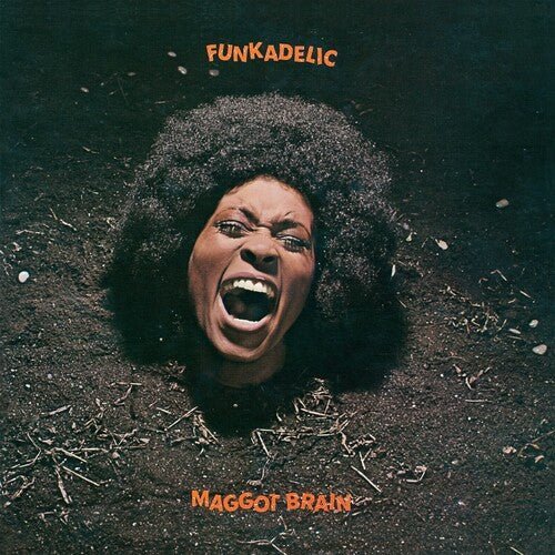 Funkadelic on Vinyl: Where to Start and Where to Go Next - GOOD TASTE Records