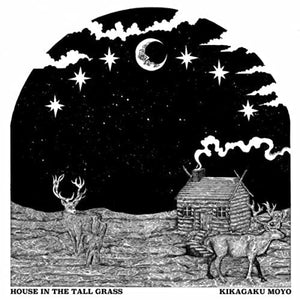 Kikagaku Moyo on Vinyl: Where to Start and Where to Go Next - GOOD TASTE Records