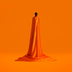 Wayne Snow - Figurine Vinyl LP