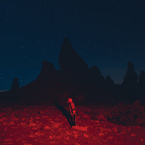 Phoebe Bridgers - Punisher Vinyl LP