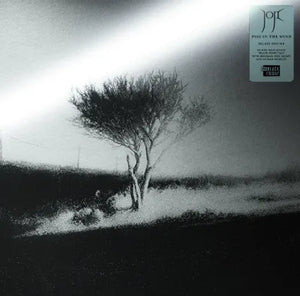 Joji - Piss in the Wind (Deluxe Edition) (Black Pearl Color) (RSD Black Friday 2026) Vinyl LP