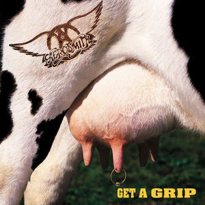Aerosmith - Get A Grip (180g) Vinyl LP_GOOD TASTE Records