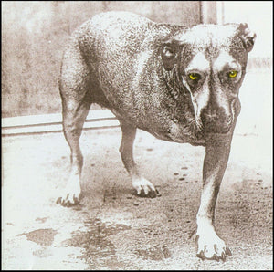 Alice in Chains - Alice in Chains (Self - Titled 3 - Legged Dog) (Yellow Color) Vinyl LP_GOOD TASTE Records