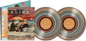 Anderson Paak - Malibu (10 Year Anniversary) (Picture Disc) Vinyl LP_GOOD TASTE Records