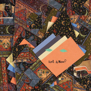 Animal Collective - Isn't It Now? Vinyl LP_GOOD TASTE Records