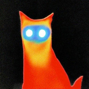 Basement - Wired Vinyl LP_GOOD TASTE Records