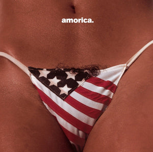 Black Crowes - Amorica Vinyl LP_GOOD TASTE Records