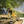 Cool Kids & Don Cannon - Gone Fishing (Anniversary Edition) Vinyl LP_GOOD TASTE Records