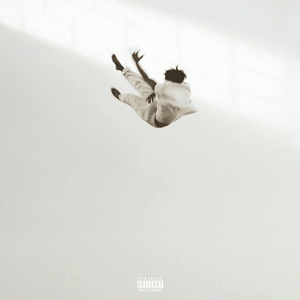 Daniel Caesar - Pilgrim's Paradise (White Black Marble Color) Vinyl LP_GOOD TASTE Records