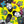 De La Soul - 3 Feet High & Rising (Yellow Color) Vinyl LP_GOOD TASTE Records