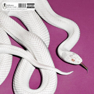 Deftones - Private Music (Alternate Cover) (Fog White Color) Vinyl LP_GOOD TASTE Records