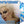 Divine - Native & Queer (Complete Experience) (Translucent Blue Splatter Color) Vinyl LP_GOOD TASTE Records