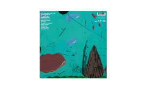 DJ Shadow - The Mountain Will Fall (10 Year Anniversary Edition) Vinyl LP_GOOD TASTE Records
