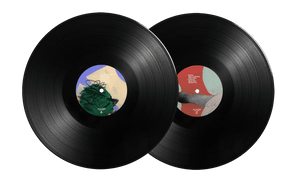 DJ Shadow - The Mountain Will Fall (10 Year Anniversary Edition) Vinyl LP_GOOD TASTE Records