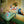 Ecca Vandal - Looking For People To Unfollow (Bathroom Blue Color) Vinyl LP_GOOD TASTE Records