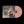 FKJ - Tyber CD_GOOD TASTE Records