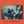 Flaming Lips - Clouds Taste Metallic (SYEOR 2026) Vinyl LP_GOOD TASTE Records