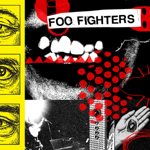 Foo Fighters - Your Favorite Toy Vinyl LP_GOOD TASTE Records
