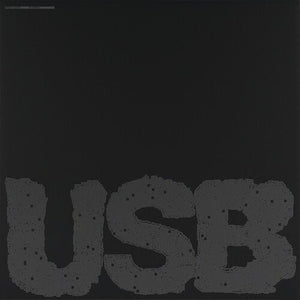 Fred Again - USB Vol. 2 Vinyl LP_GOOD TASTE Records