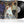 Geto Boys - We Can't Be Stopped (35th Anniversary) Vinyl LP_GOOD TASTE Records