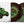Gorillaz - Gorillaz (self-titled) (Brick & Mortar Exclusive Camouflage Green, Brown & Black Color) Vinyl LP