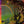 Masayoshi Takanaka - The Rainbow Goblins (Kitty Japan Reissue) CD