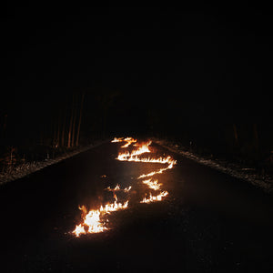 Bob Moses - Battle Lines (Indie Exclusive Clear Color) Vinyl LP