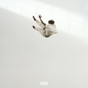 Daniel Caesar - Pilgrim's Paradise (White Black Marble Color) Vinyl LP