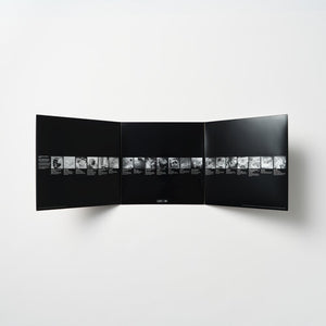 Various - Lex XX (Limited Edition 180g) Vinyl LP