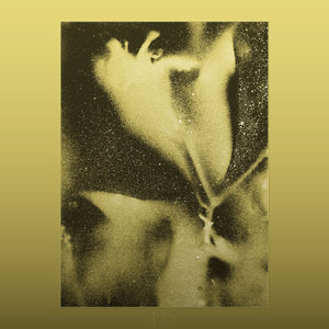 Flying Lotus - 1983 Vinyl LP
