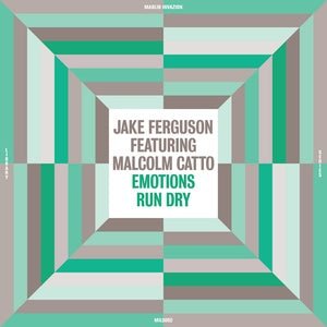 Jake Ferguson - Emotions Run Dry (Madlib Invazion Music Library Series) Vinyl LP_GOOD TASTE Records