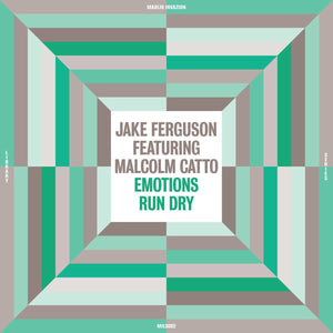 Jake Ferguson - Emotions Run Dry (Madlib Invazion Music Library Series) Vinyl LP_GOOD TASTE Records