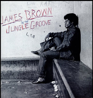 James Brown - In the Jungle Groove Vinyl LP_GOOD TASTE Records
