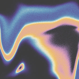 Jamie Lidell & Luke Schneider - A Companion for the Spaces Between Dreams Vinyl LP_GOOD TASTE Records