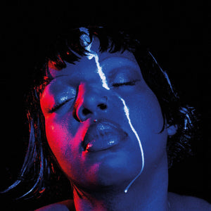 keiyaA - hooke's law Vinyl LP_GOOD TASTE Records