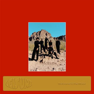 Leisure - Welcome to the Mood (Orange Color) Vinyl LP_GOOD TASTE Records