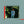 Masayoshi Takanaka - Jungle Jane (SHM-CD) CD_GOOD TASTE Records