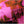 My Bloody Valentine - Loveless (Deluxe Edition) Vinyl LP_GOOD TASTE Records