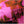 My Bloody Valentine - Loveless (Deluxe Edition) Vinyl LP_GOOD TASTE Records