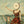 Neutral Milk Hotel - In the Aeroplane Over the Sea Vinyl LP_GOOD TASTE Records