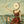 Neutral Milk Hotel - In the Aeroplane Over the Sea Vinyl LP_GOOD TASTE Records