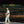 Noah Kahan - Live from Fenway Park Vinyl LP_GOOD TASTE Records