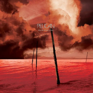 Pelican  -  What We All Come To Need & Ephemeral (RSD Black Friday 2025) Vinyl LP_GOOD TASTE Records