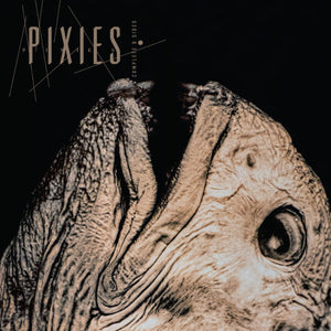 Pixies - Complete B Sides: 1988 - 97 (Crystal Clear Color) Vinyl LP_GOOD TASTE Records