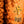 Prince - Gold Experience Vinyl LP_GOOD TASTE Records