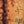 Prince - Gold Experience Vinyl LP_GOOD TASTE Records