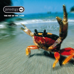 Prodigy, The - The Fat of the Land CD_GOOD TASTE Records