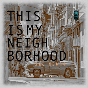 Sal Negro - This Is My Neighborhood Vinyl LP_GOOD TASTE Records