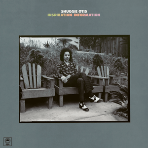 Shuggie Otis - Inspiration Information Vinyl LP_GOOD TASTE Records