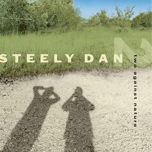 Steely Dan - Two Against Nature (Clear Color) Vinyl LP_GOOD TASTE Records